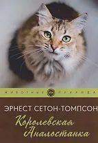 Королевская Аналостанка