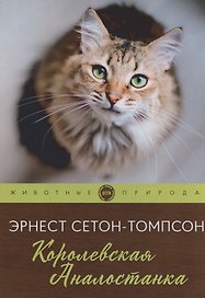 Королевская Аналостанка