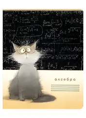 Тетрадь предметная в клетку "Кот учёный. Алгебра", 48 листов