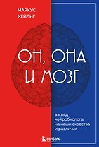 Он, она и мозг: взгляд нейробиолога на наши сходства и различия