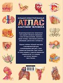 Энциклопедический атлас человеческого тела (ISBN 5-17-038347-9 в суперобложке "Большой иллюстрированный атлас анатомии человека") - 1