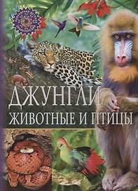 Джунгли.Животные и птицы