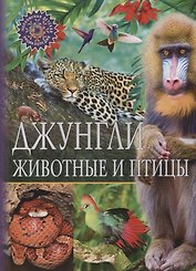 Джунгли.Животные и птицы