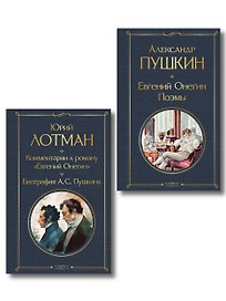 Расшифрованный Евгений Онегин (набор из 2 книг: Евгений Онегин, Комментарии к роману «Евгений Онегин». Биография А. С. Пушкина)