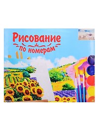 Набор для раскрашивания по номерам ТМ Рыжий Кот Холст 40х50см Волшебный мир Х-3568