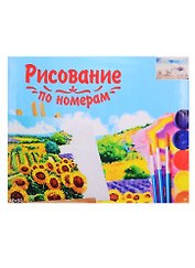 Набор для раскрашивания по номерам ТМ Рыжий Кот Холст 40х50см Волшебный мир Х-3568