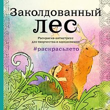 Подарочный комплект со скидкой: 2 раскраски («Заколдованный лес. Летняя серия» и «Страна фей») + цветные карандаши