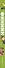Финник - 2
