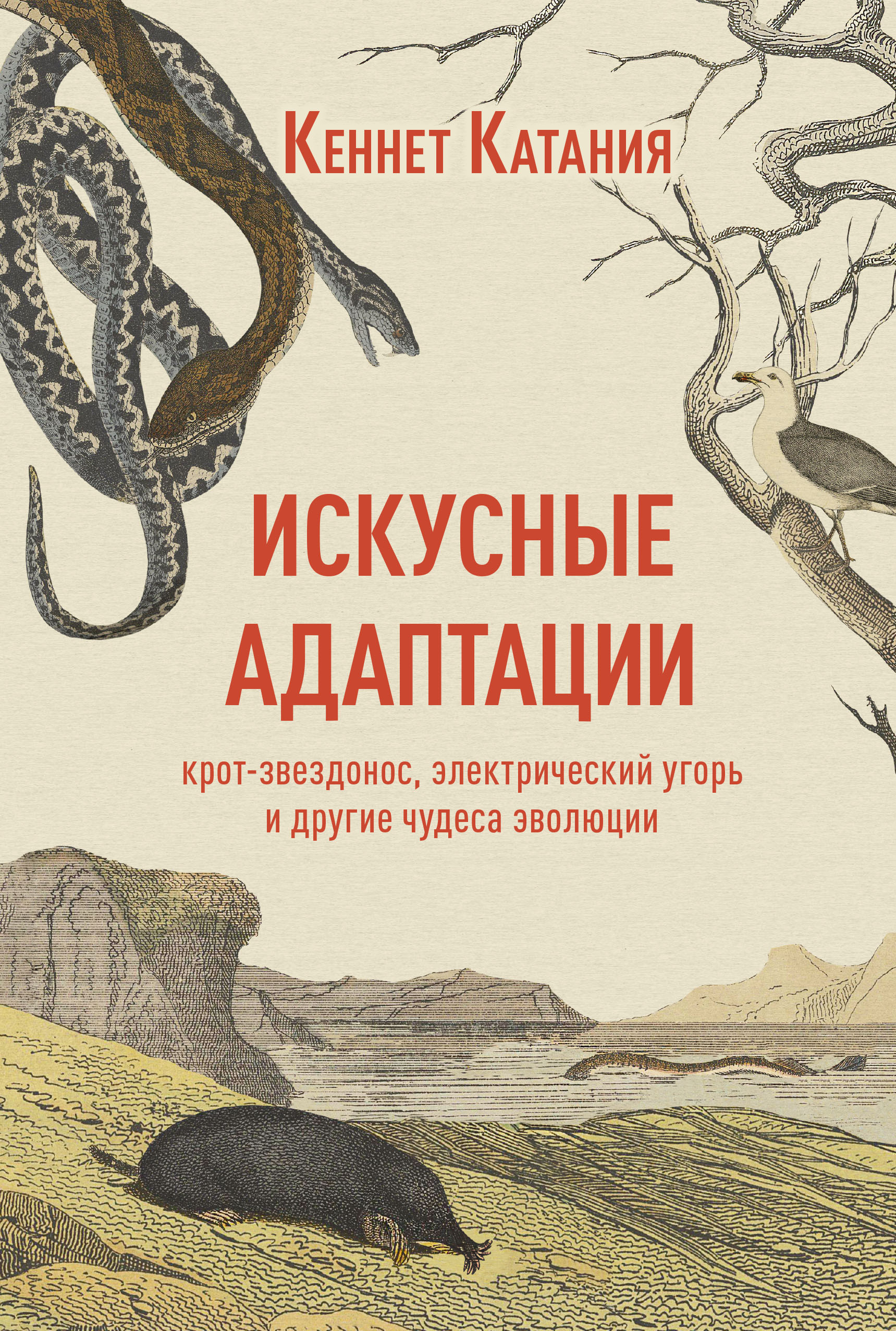 Искусные адаптации. Крот-звездонос, электрический угорь и другие чудеса эволюции