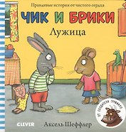 Чик и Брики. Лужица