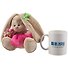 Игрушка мягкая Budi Basa, Зайка Ми c букетом в розовой юбке (малыш) (В1) SidX-289 - 2