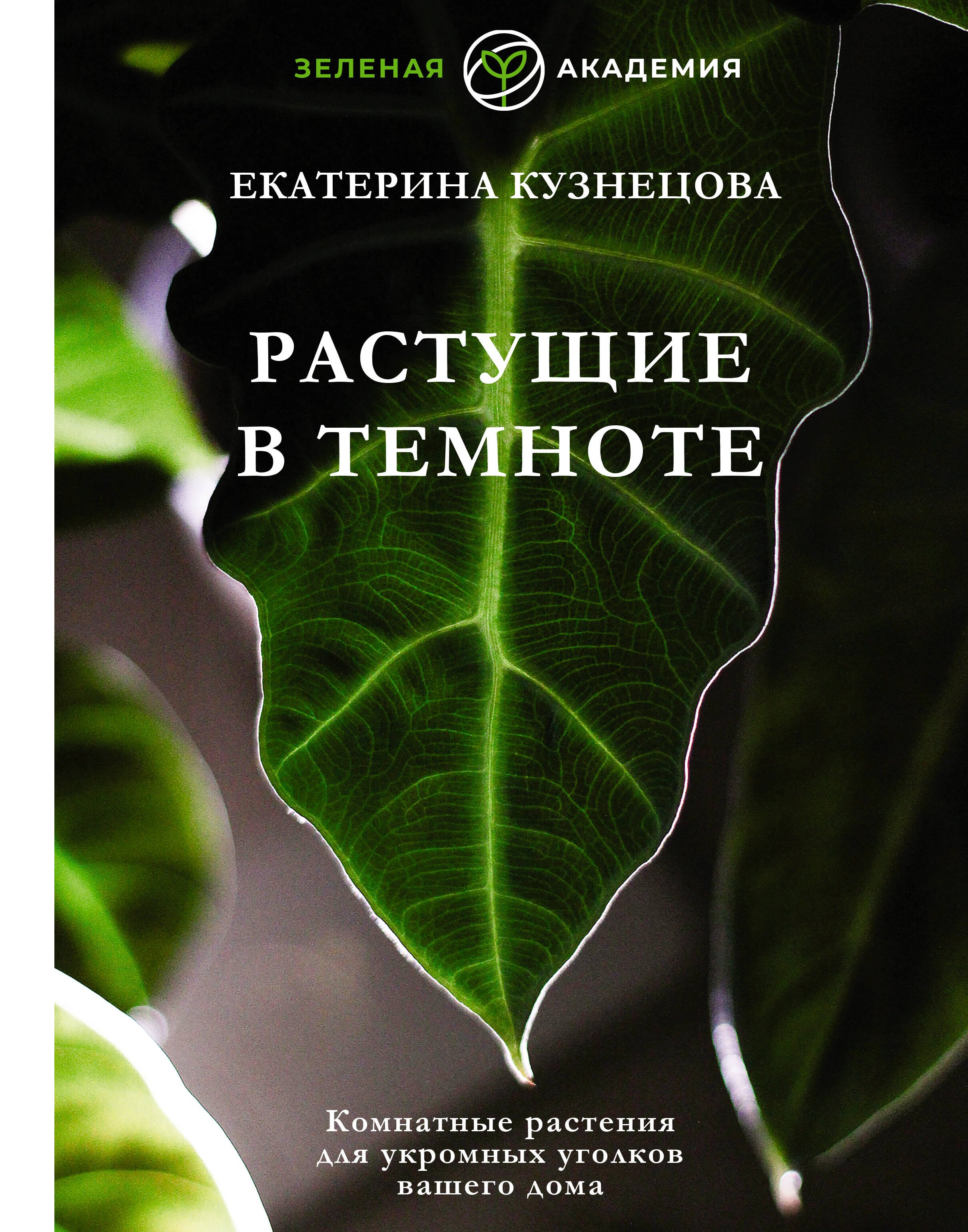 

Растущие в темноте. Комнатные растения для укромных уголков вашего дома