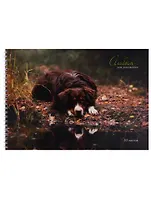 Альбом для рисования Unnika, "Пес у озера", А4, 30 листов, на гребне