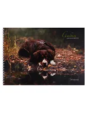 Альбом для рисования Unnika, "Пес у озера", А4, 30 листов, на гребне