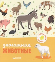 Домашние животные