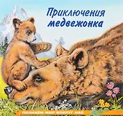 Приключения медвежонка
