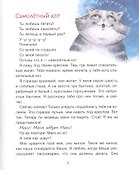 Самолетный кот - 2