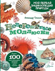 Моллюски, кораллы, морские звезды, морские ежи