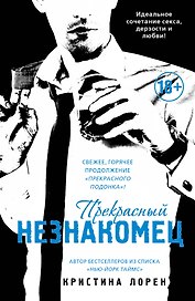 Прекрасный незнакомец: роман