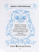 Русский язык математика литературное чтение 2 кл. Тренировочные упражнения в картинках (мНШ) Ушакова - 2