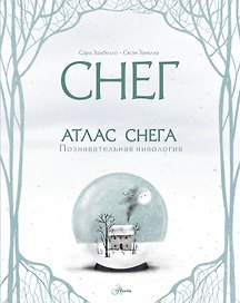 Атлас снега