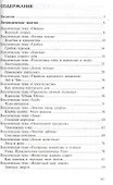 Мультфильмы в дет. саду Работа по лексич. темам с детьми 5-7 л. (мЗанВДС) Гуськова (ФГОС ДО) - 1
