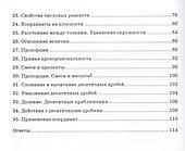 Математика. 6 класс. Текущий и итоговый контроль по курсу "Математика. 6 класс". КИМ - 2