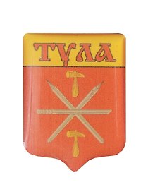 Значок с объемной этикеткой Герб Тулы (смола)(цанга) (Петра4)