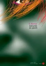 Кипарис во дворе