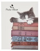 Фотоальбом "Кот и Книги", 10х15, 100 фото - 0