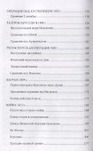 Полководческое искусство Наполеона - 2