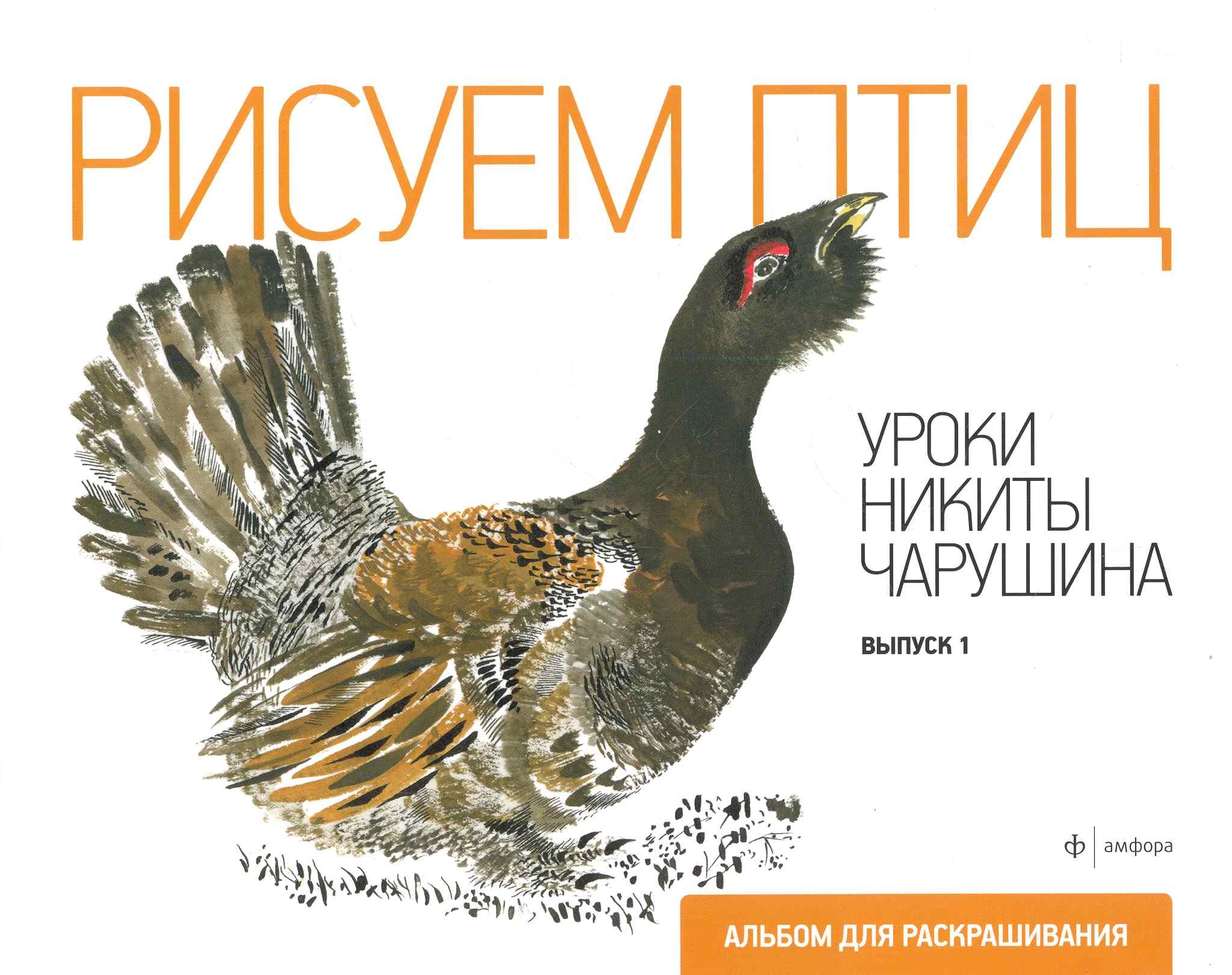 

Рисуем птиц.Вып.1.Уроки Никиты Чарушина
