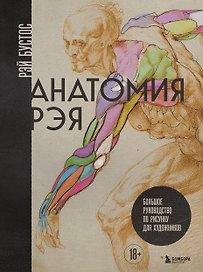 Анатомия Рэя. Большое руководство по рисунку для художников