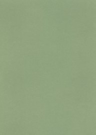 Бумага для пастели А4 "Mi-Teintes" 160г/м2 №475 зеленое яблоко, Canson