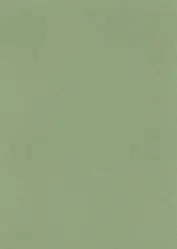 Бумага для пастели А4 "Mi-Teintes" 160г/м2 №475 зеленое яблоко, Canson