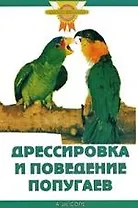 Дрессировка и поведение попугаев