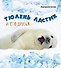 Тюлень Ластик и его друзья - 0