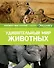 Удивительный мир животных - 0