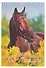 Календарь 2026г 170*250 "Год Лошади. Вид 2" настенный, на спирали - 0