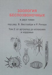 Зоология беспозвоночных. В двух томах. Том 2. От артропод до иглокожих и хордовых