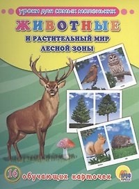 Животные и растительный мир лесной зоны