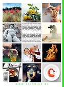 Сделано в Италии (комплект из 2 книг + сумка) - 1