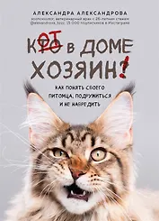 Кот в доме хозяин! Как понять своего питомца, подружиться и не навредить (с автографом)