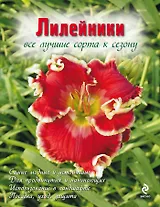 Лилейники. Все лучшие сорта к сезону