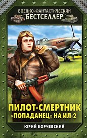 Пилот-смертник. "Попаданец" на Ил-2