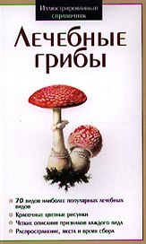 Лечебные грибы ИС