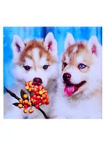 Алмазная мозаика квадрат. 20x20 (класс.) (24 цв.) Пушистые щенки Хаски. ( Арт. F2-026)