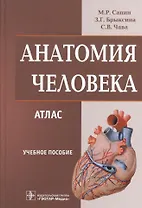 Анатомия человека: атлас: учеб. пособие