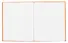 Книга для записей А5+ 96л тчк. "Рыжая лиса" интеграл.перепл., матов.ламин., выб.лак - 2