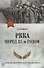 РККА перед 37-м годом - 0